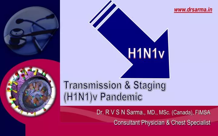 transmission staging h1n1 v pandemic