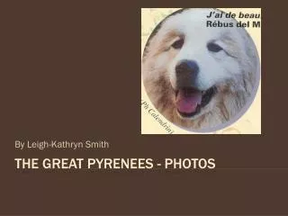 The Great Pyrenees - photos
