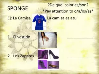 sponge