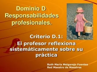 dominio d responsabilidades profesionales