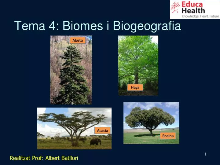 tema 4 biomes i biogeografia