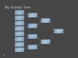 my family tree