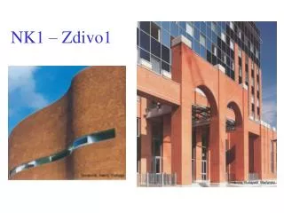 nk1 zdivo1