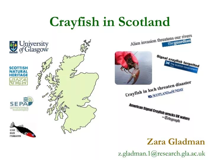 crayfish in scotland