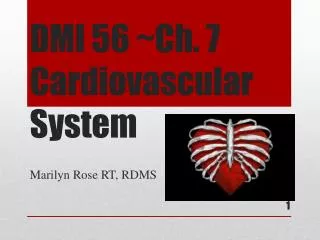 DMI 56 ~Ch. 7 Cardiovascular System