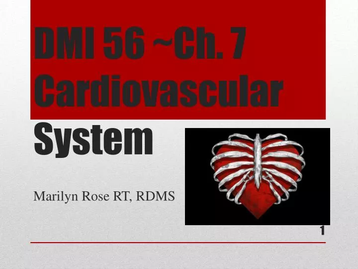 dmi 56 ch 7 cardiovascular system