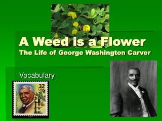 A Weed is a Flower The Life of George Washington Carver