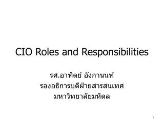 cio roles and responsibilities