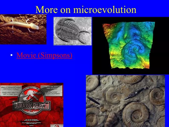 more on microevolution