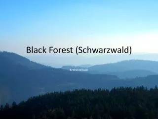 Black Forest ( Schwarzwald )
