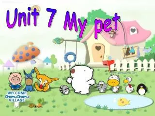 Unit 7 My pet