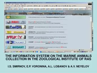 THE INFORMATION SYSTEM ON THE MARINE ANIMALS COLLECTION IN THE ZOOLOGICAL INSTITUTE OF RAS
