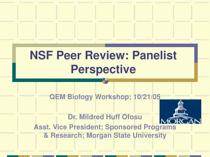 nsf peer review panelist perspective