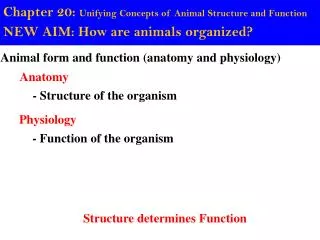Chapter 20: Unifying Concepts of Animal Structure and Function