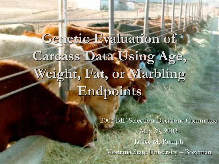 genetic evaluation of carcass data using age weight fat or marbling endpoints