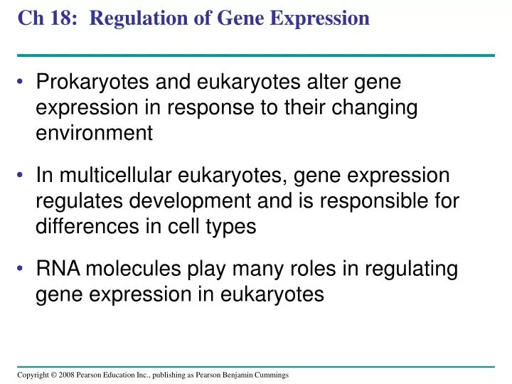 ch 18 regulation of gene expression