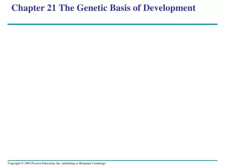 chapter 21 the genetic basis of development