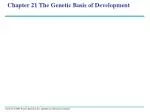 Chapter 21 The Genetic Basis of Development - slide 1