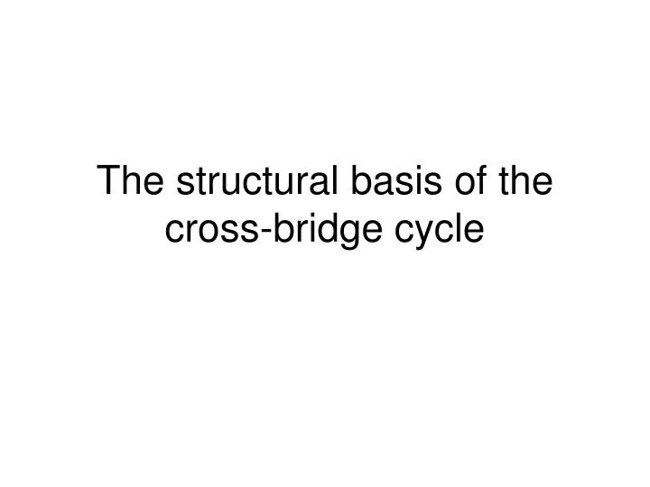 the structural basis of the cross bridge cycle