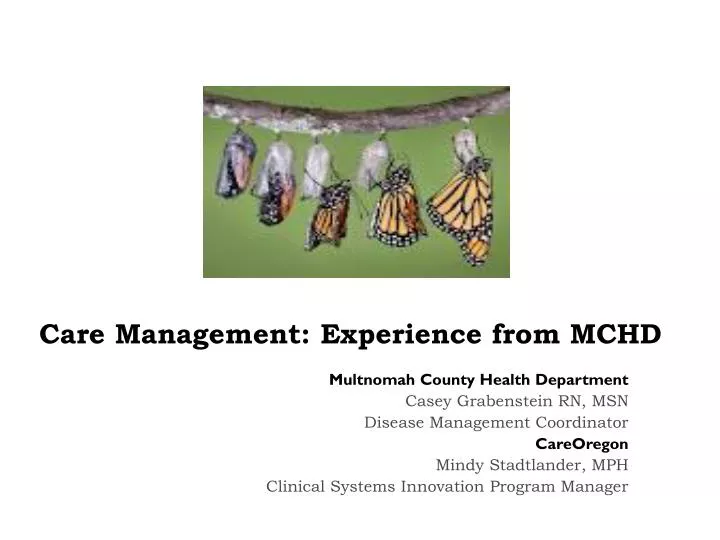 care management experience from mchd