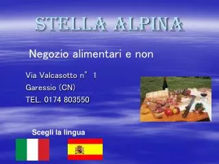 stella alpina