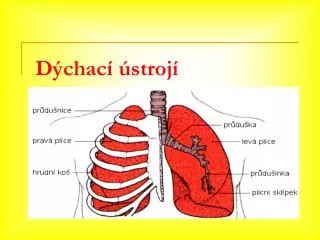 d chac stroj