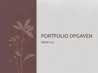 portfolio opgaven