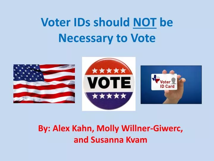 voter ids should not be necessary to vote