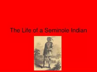 The Life of a Seminole Indian