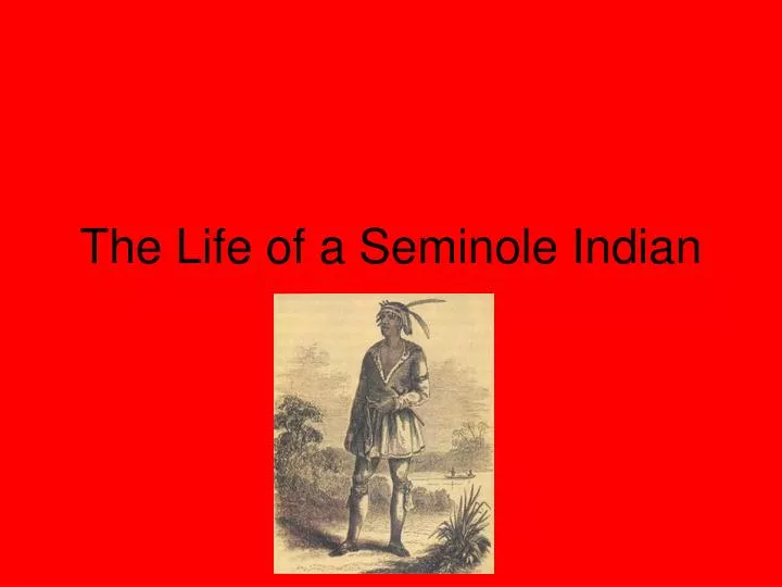 the life of a seminole indian