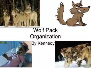 Wolf Pack Organization