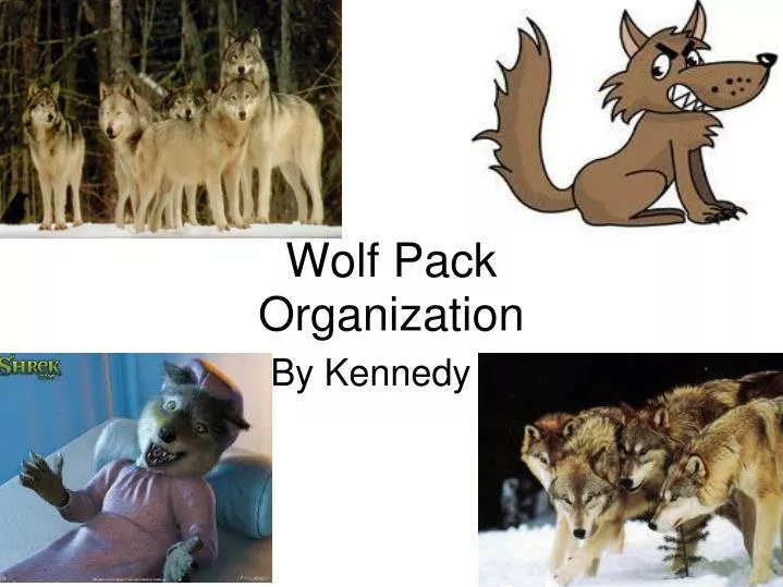 wolf pack organization