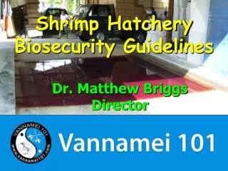 Shrimp Hatchery Biosecurity Guidelines