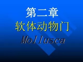 mollusca