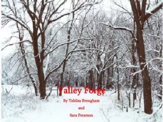 Valley Forge By Tahlisa Brougham and Sara Peterson