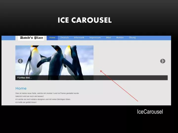 ice carousel