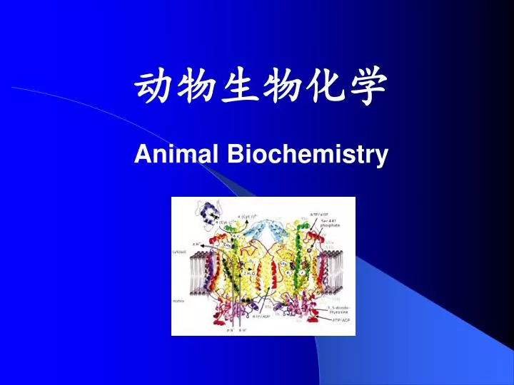animal biochemistry