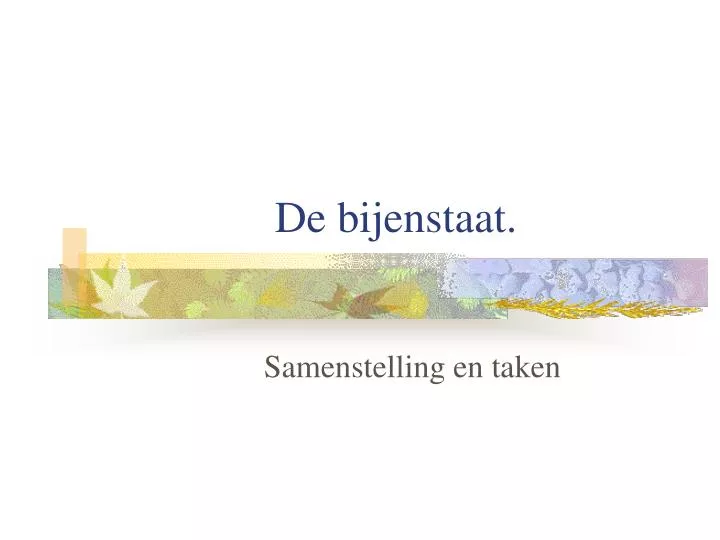 de bijenstaat