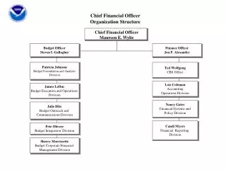 Chief Financial Officer Organization Structure