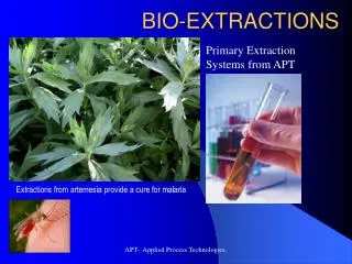 BIO-EXTRACTIONS