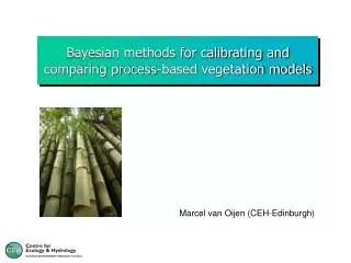 Bayesian methods for calibrating and comparing process-based vegetation models
