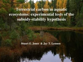 Terrestrial carbon in aquatic ecosystems: experimental tests of the subsidy-stability hypothesis