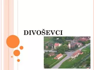 divo evci