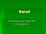 Sarud - slide 1