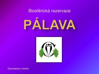 p lava