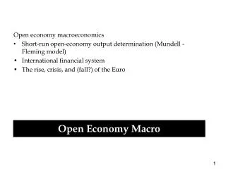 Open economy macroeconomics