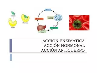 acci n enzim tica acci n hormonal acci n anticuerpo