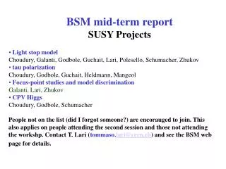 BSM m id-term report SUSY Projects