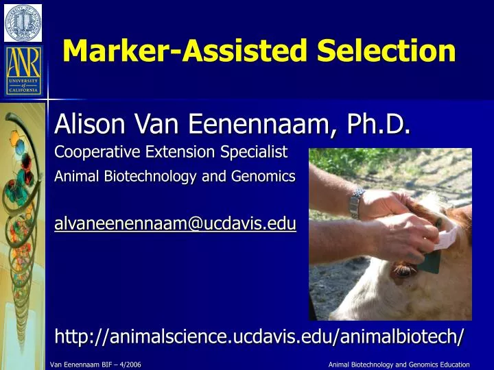 marker assisted selection
