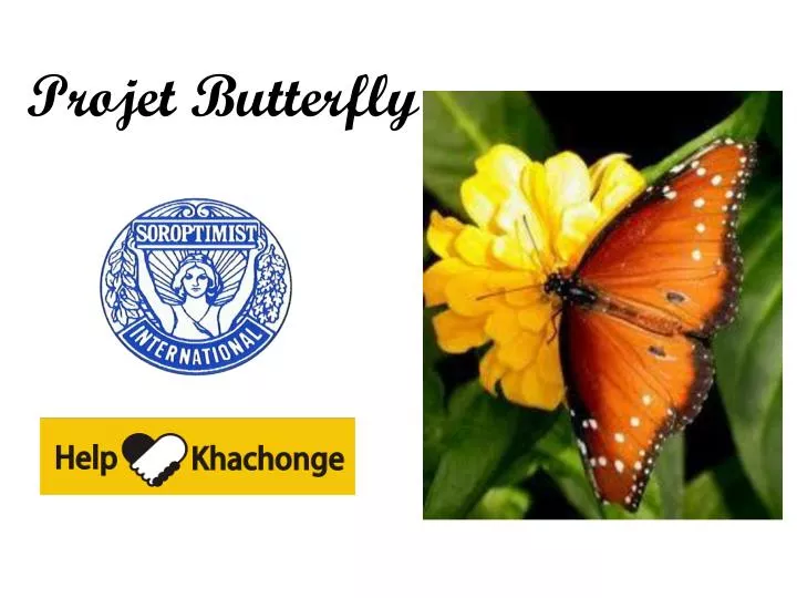 projet butterfly
